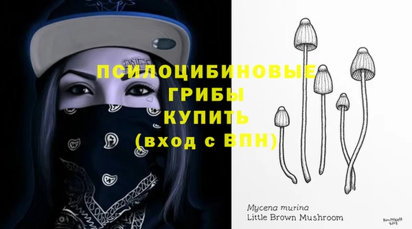 прущая мука Кулебаки
