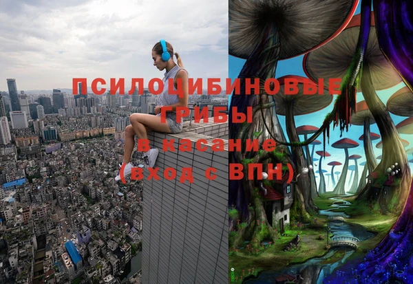 прущая мука Кулебаки