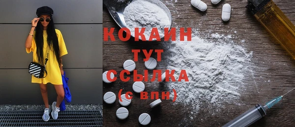 соль ск Кукмор