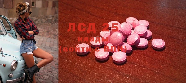 соль ск Кукмор