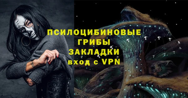 хмурый Куйбышев