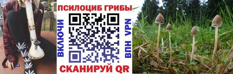 Галлюциногенные грибы прущие грибы  Купить где  Новозыбков 